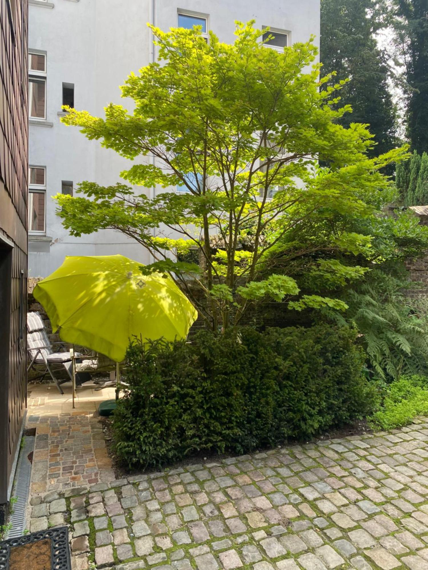 Gehen & Fahrrad Elberfeld Wuppertal Exterior foto